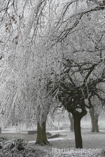 Kingswood Park, Winter2012