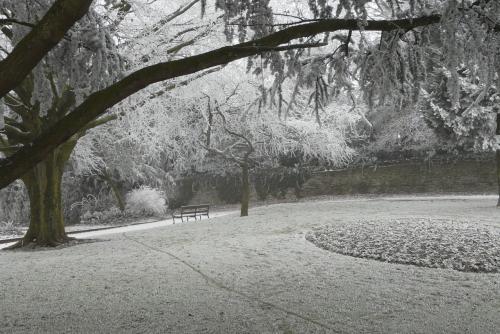 Kingswood Park, Winter 2012